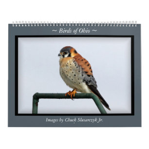 Birds of Ohio Wall Calendar Kalender