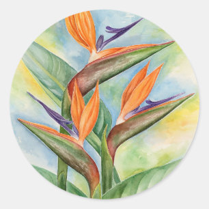 Birds of Paradise Waterverf bloeit schilderkunst Ronde Sticker