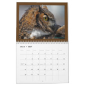 Birds of Prey 2010 Calendar Kalender (Mar 2027)
