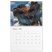 BIRDS OF PREY ART #1 KALENDER (Feb 2026)