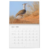 Birds of South Africa Calendar Kalender (Mar 2026)