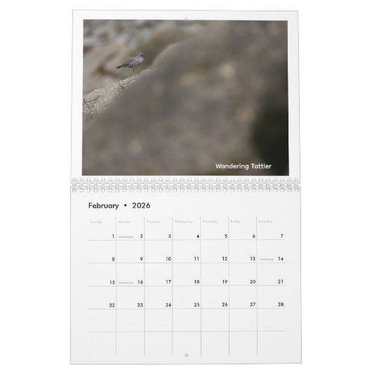 Birds of Southern Alaska and Canada calendar Kalender (Feb 2026)