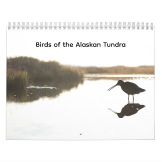 Birds of the Alaskan Tundra Calendar Kalender