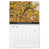 Birds of The Gambia 2024 Calendrier (Mar 2026)