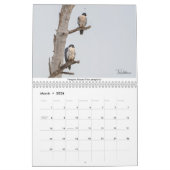 Birds of the Pacific Northwest Calendrier 2022 (Mar 2026)
