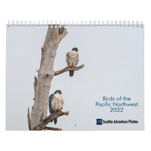 Birds of the Pacific Northwest Calendrier 2022 (Protection)