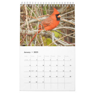 Birds of Western New York Calendar Kalender