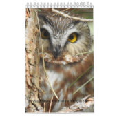 Birds of Western New York Calendrier (Protection)