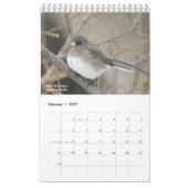 Birds of Western New York Calendrier (Feb 2027)