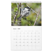 Birds of Western New York Calendrier (Mar 2027)