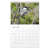Birds of Western New York Calendrier (Mar 2026)