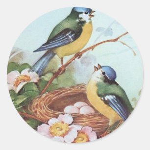 Birds on a Nest - Sticker