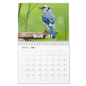 Birds Showcase Collectie Wall Agenda Kalender (Jan 2026)