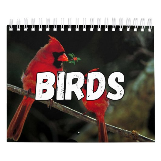 Birds Showcase Collectie Wall Agenda Kalender (Hoes)