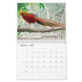 Birds Showcase Collection Wall Calendrier (Feb 2027)