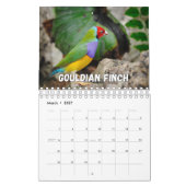 Birds Showcase Collection Wall Calendrier (Mar 2027)