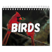 Birds Showcase Collection Wall Calendrier (Protection)