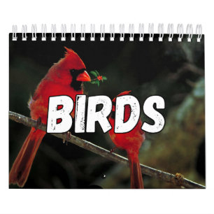 Birds Showcase Collection Wall Calendrier