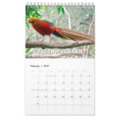 Birds Showcase Collection Wall Calendrier (Feb 2027)