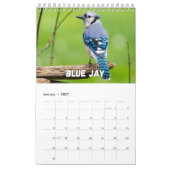Birds Showcase Collection Wall Calendrier (Jan 2027)