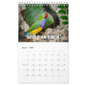 Birds Showcase Collection Wall Calendrier (Mar 2027)