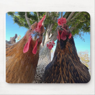 Birds with Attitude Mouse Pad Muismat