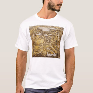 Birdseye Uitzicht of Central Park - John Bachman T-shirt