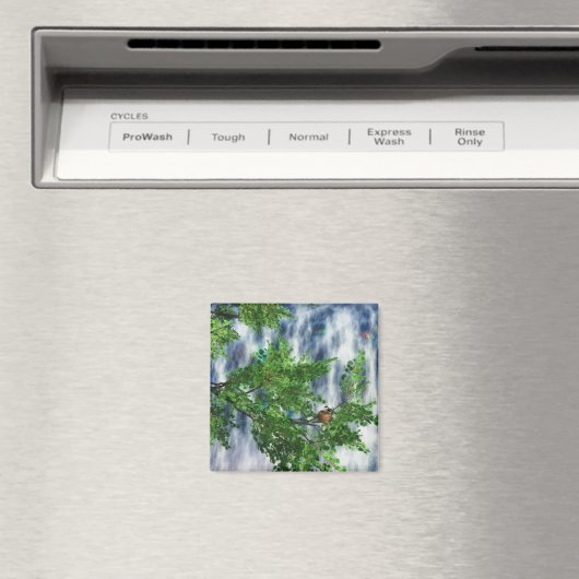 Birdsnest Falls Magnet (In Situ (Lave-vaisselle))