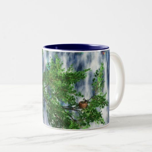 Birdsnest Falls Mug (Devant droit)