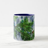 Birdsnest Falls Mug (Centre)