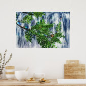 Birdsnest Falls Print (Keuken)