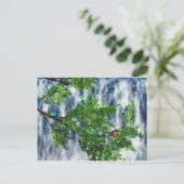 Birdsnest Herfst Briefkaart (Staand voorkant)