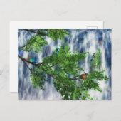 Birdsnest Herfst Briefkaart (Voorkant / Achterkant)