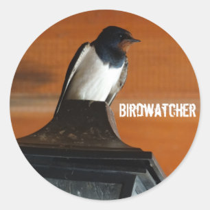 Birdwatcher Swallow Foto Classic Ronde Sticker