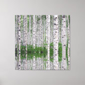 Birg Tree Forest Nature Toile Mur Art (Recto)