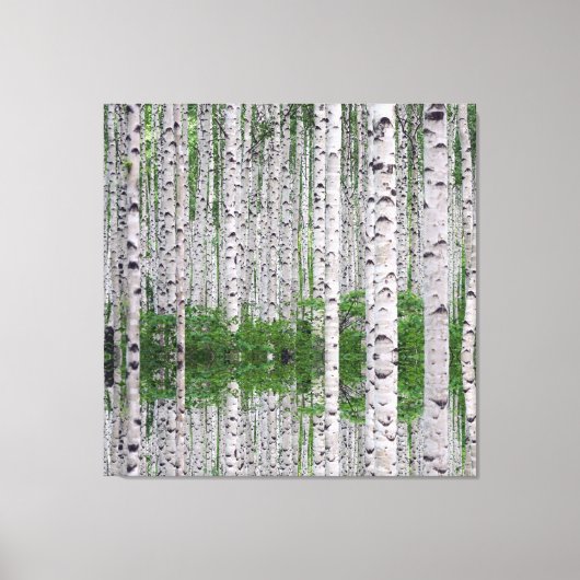 Birg Tree Forest Nature Toile Mur Art (Recto)