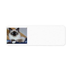 birman 2.png etiket