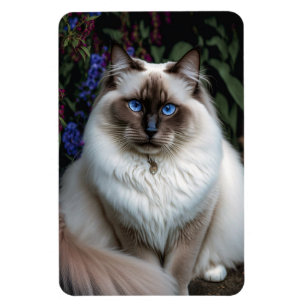 Birman Cat in de Garden Magnet Magneet
