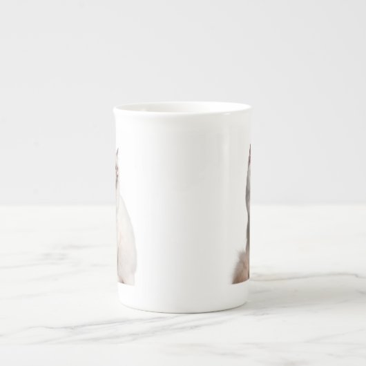 Birman Cat Mok (Voorkant)