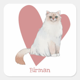 Birman Cat Waterverf Kat Roze hart Vierkante Sticker