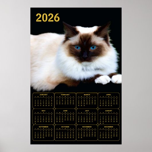 Birman kat 2026 kalender poster (Voorkant)