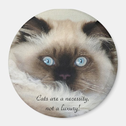 Birman - Ragdoll Cat Lover Magnet Magneet (Voorkant)