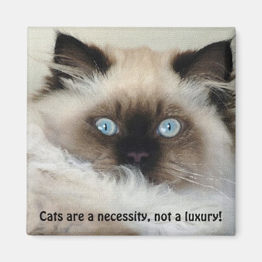 Birman - Ragdoll Cat Lover Magnet Magneet (Voorkant)