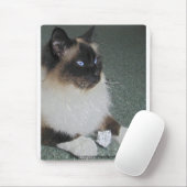 BIRMAN - RAGDOLL CAT Mousepad Muismat (Met muis)