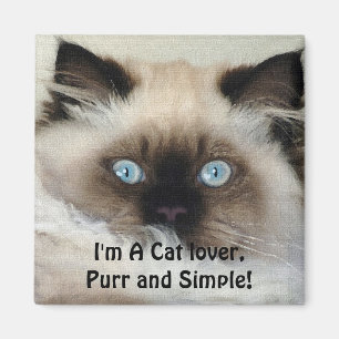 Birman - Ragdoll Chat Pet-Lover Magnet