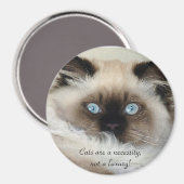 Birman - Ragdoll Magnet Amoureux des chats (Recto/Verso)