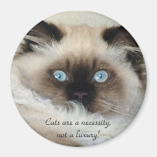 Birman - Ragdoll Magnet Amoureux des chats