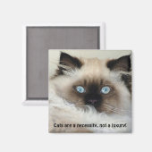 Birman - Ragdoll Magnet Amoureux des chats (Recto/Verso)