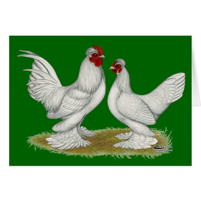 Birmese bantams (Voorkant Horizontaal)