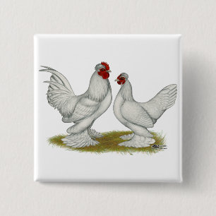 Birmese bantams vierkante button 5,1 cm
